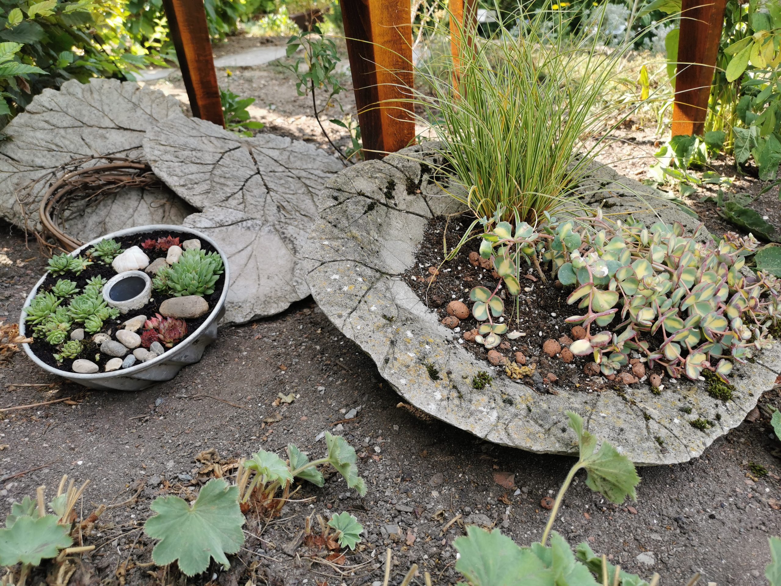 Vorgarten mit Sedum bepflanzte Gugelhupf-Form und Betonschale