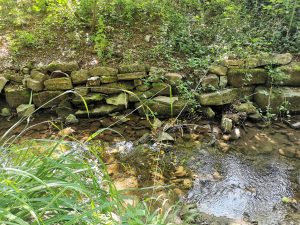 plaetschernder Bach im Wald