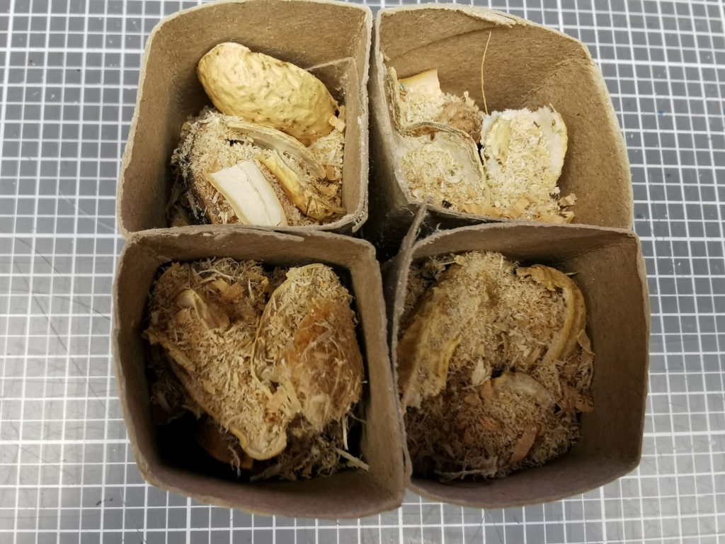 weitere Schicht Sägemehl einfüllen