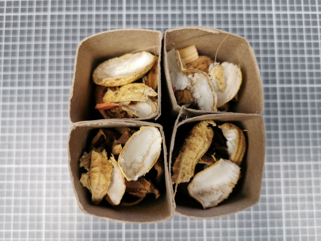 grobes Material wie zum Beispiel Nussschalen einfüllen