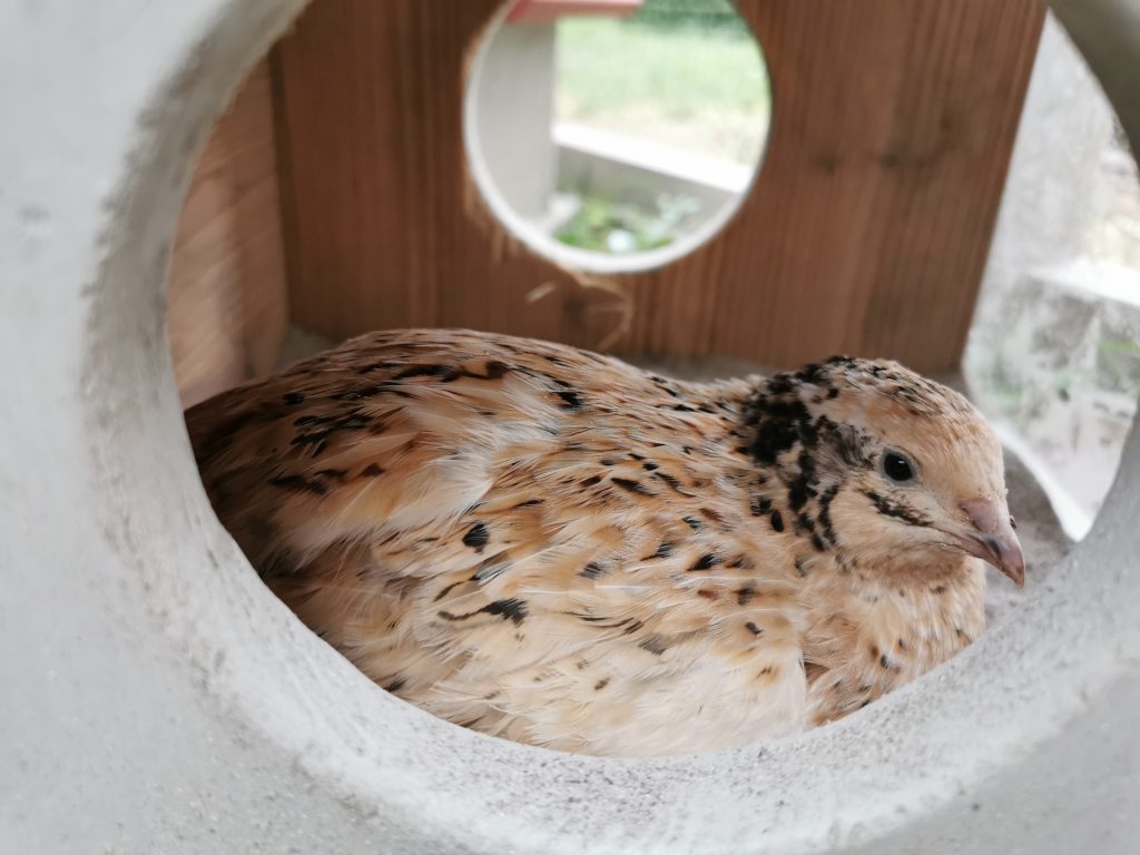 Sandbad mit Ausblick - cool!